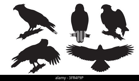 Set di silhouette di aquila nera in varie pose su sfondo bianco Illustrazione Vettoriale