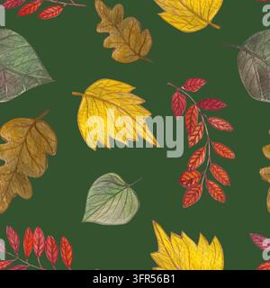 Foglie d'autunno Acquerello Motivo colorato disegnato a mano su verde. Elementi per il tuo design Foto Stock