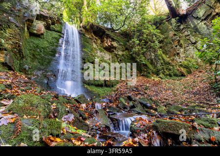 Cascata su una parete rocciosa muschiosa con foglie d'autunno, Bold Venture Park, Darwen, Lancashire Foto Stock