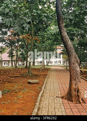 Un vialetto di mattoni e pietra attraversa un parco rigoglioso, con alberi maturi, radici a vista e edifici del campus in lontananza. Un ambiente tranquillo all'aperto Foto Stock