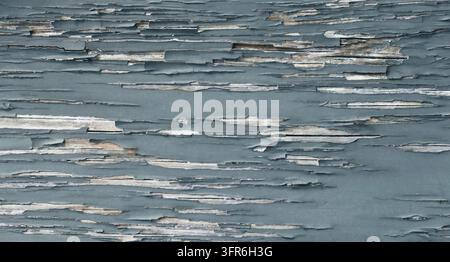 Prima vista di colori turchesi che si scrostano su legno consumato, rivelando strati stagionati Foto Stock