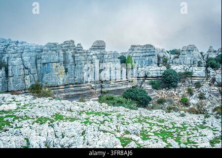 Formazioni rocciose calcaree con scogliere stratificate, massi e vegetazione verde sparsa a El Torcal, Paraje Natural Torcal de Antequera, Andalus Foto Stock