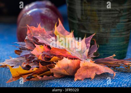 Bouquet colorato di foglie d'acero autunnali cadute disposte su un tessuto blu con vasi in ceramica sullo sfondo Foto Stock