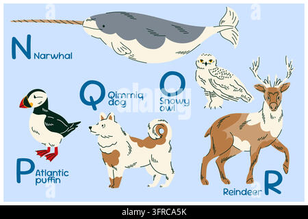 Illustrazione dell'alfabeto degli animali artici da N a R con narvalo, cane Qimmiq, gufo delle nevi, fraticello atlantico e renna per l'educazione dei bambini, animale Illustrazione Vettoriale