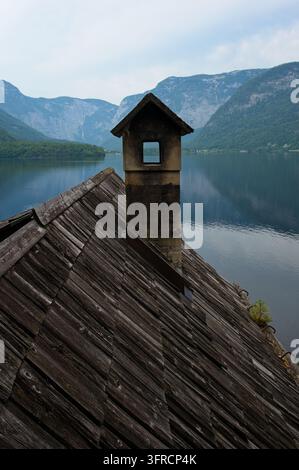 Piccolo germoglio di pino che cresce su un tetto di scandole di legno rustico con camino in pietra che si affaccia sul lago di Hallstatt e sulle montagne del Salzkammergut, in Austria Foto Stock