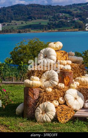 Elegante installazione per una festa del raccolto con zucche bianche biologiche e pagliai su un prato verde con uno sfondo pittoresco di lago Foto Stock