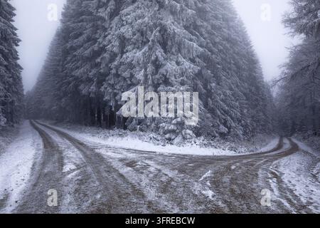 terreno strada ghiacciata nella foresta invernale nella neve Foto Stock