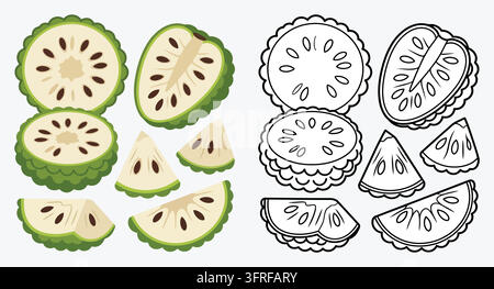 Frutta di chirimoya fresca con sezioni trasversali e fette Illustrazione Vettoriale