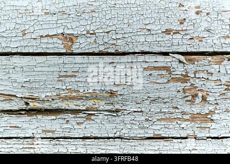 Prima vista a tutto campo di assi di legno vintage con vernice bianca crepata e scrostata, che rivela la texture naturale del legno sottostante. Questa superficie invecchiata Foto Stock