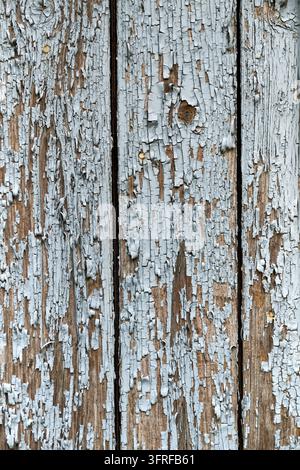 Prima vista a tutta cornice di assi di legno vintage consumate con vernice blu chiaro o grigia ampiamente staccata. La texture consumata rivela il natu Foto Stock