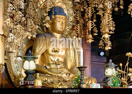 Buddha dorato seduto con alone, ornamenti dorati sospesi, lanterne di loto, offerte di candele e fiori all'interno di una sala di culto giapponese a Kyoto. Foto Stock