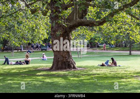 Persone che si rilassano sull'erba sotto un grande albero nel parco. Londra, Regno Unito, 23 luglio 2023 Foto Stock