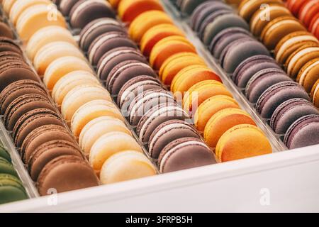 Macarons francesi assortiti che mostrano varie colori e sapori disposti ordinatamente in una scatola, evidenziando l'arte della pasticceria Foto Stock