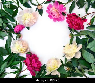 Una bellissima composizione floreale con peonie rosa e delicate peonie color crema con foglie verdi fresche. Su uno sfondo bianco pulito Foto Stock