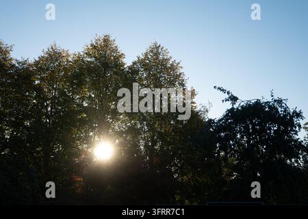 Luce del sole che irrompe tra gli alberi, Warwickshire, Regno Unito Foto Stock