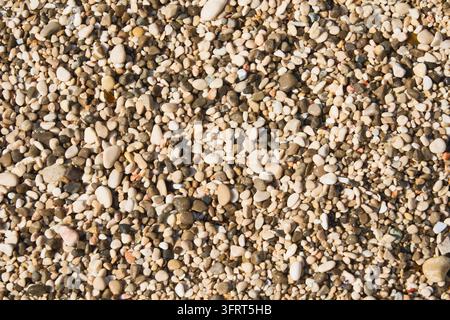 Sfondo texture naturale di Pebble Beach con pietre costiere lisce e motivo di ghiaia marina Foto Stock