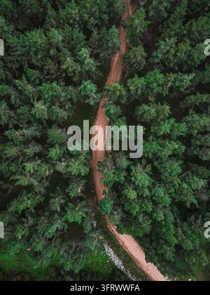 Prospettiva aerea di un drone su un sentiero sterrato rurale che si snoda tra fitti alberi conifere verdi Foto Stock