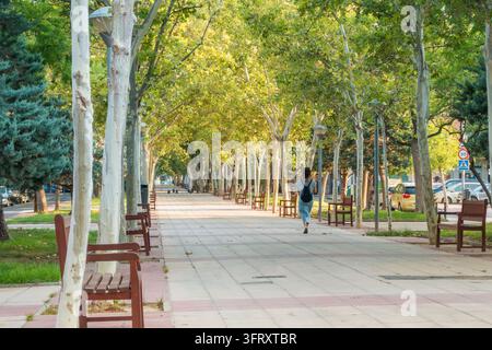 Donna vista da dietro che cammina lungo una lunga passeggiata pedonale con alberi ombreggianti e panchine. Concetto di spazi verdi urbani, riduzione delle isole di calore urbane Foto Stock