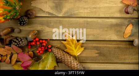Sfondo autunnale ampio con zucca verde, bacche di sorbo, ghiande e pigne su texture di legno, spazio di copia orizzontale per banner di ottobre Foto Stock