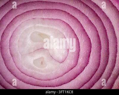 Testura a tela intera di una fetta fresca di anello di cipolla viola tagliato a croce Foto Stock