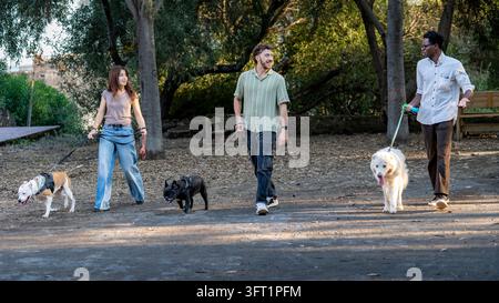 Tre amici, due uomini e una donna, che passeggiano tre cani di dimensioni diverse al guinzaglio in un parco. Due uomini sorridono e chiacchierano durante un'attività all'aperto rilassante Foto Stock