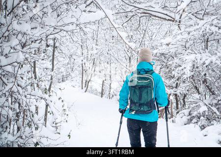 Una persona vista da dietro cammina con racchette da neve e bastoncini da trekking lungo un sentiero boschivo coperto di neve, portando uno zaino durante un'escursione invernale. Foto Stock