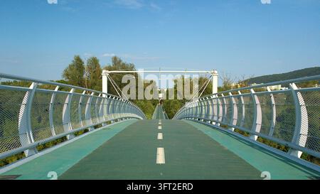 Vista frontale simmetrica del Ponte della Libertà (Most slobody), un ponte sospeso per ciclisti e pedoni sul fiume Morava che collega Devičany Foto Stock