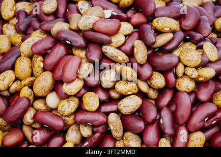 Prima di un mucchio di fagioli rossi secchi misti e fagioli pinto macchiati che mostrano la texture naturale e i colori caldi sulle gambe sovrapposte Foto Stock
