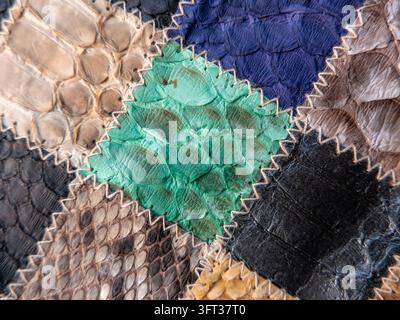 Pelle di serpente Foto Stock