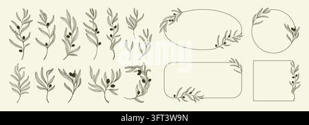 Collezione di rami di ulivo con rametti, frutti e cornici botaniche arrotondate disegnati a mano, creati per etichette, inviti, confezioni, menu e design mediterraneo elegante Illustrazione Vettoriale