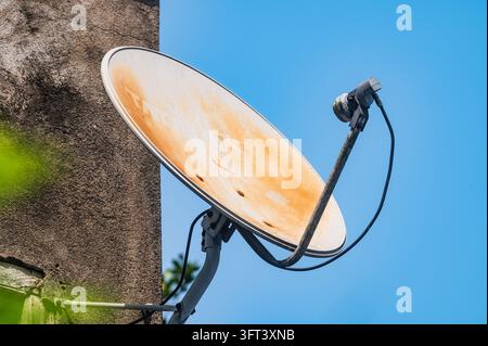 Un'antenna satellitare Direct-to-Home (DTH) è visibile su un muro del tetto situato in una foresta a Tehatta. L'India è il più grande mercato televisivo Direct-to-Home (DTH), che ha subito cambiamenti significativi nel suo ecosistema televisivo dal boom satellitare degli anni '90. Dati recenti dell'Autorità di Regolazione delle Telecomunicazioni dell'India (TRAI) mostrano che il mercato a pagamento Direct-to-Home (DTH) si è ridotto a meno di 50 milioni di abbonati attivi, scendendo a 49,05 milioni. Bengala Occidentale, India. Foto Stock