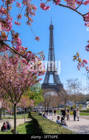 3 aprile 2025, Parigi, Francia. Torre Eiffel che si erge dietro i fiori di ciliegio rosa, stagione primaverile di Parigi, skyline iconica di Parigi, concetto di viaggio e turismo, r Foto Stock