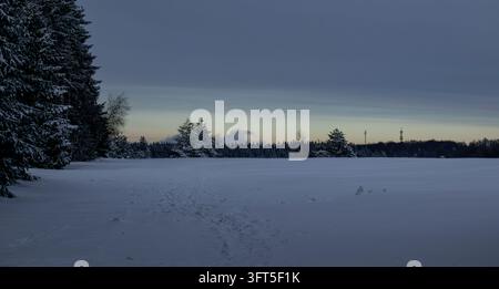 Campo coperto di neve e foresta sempreverde ghiacciata nell'ora blu in inverno Foto Stock