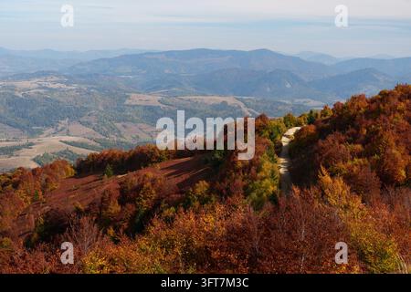 Strada sterrata tortuosa attraverso una foresta autunnale colorata nei Carpazi. Foto Stock