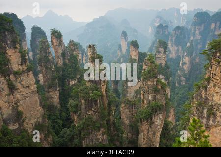 Vista panoramica dei pilastri di arenaria quarzosa delle montagne Tianzi nel parco nazionale di Zhangjiajie, montagne Avatar, montagne Halleluja, Wulingyu Foto Stock