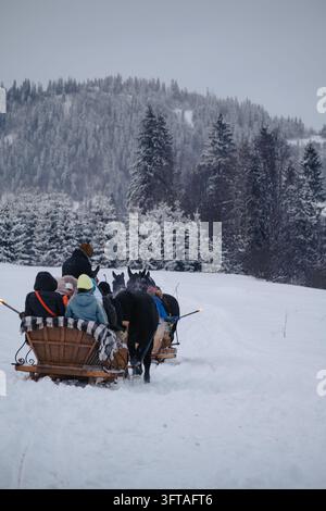 Slitta di legno trainata da cavalli che trasporta passeggeri con torce accese attraverso un paesaggio invernale coperto di neve circondato da pini a Zakopane, Polonia Foto Stock