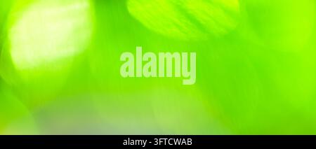 Sfondo astratto sfocato con forme morbide verde lime e riflessi bianchi Foto Stock