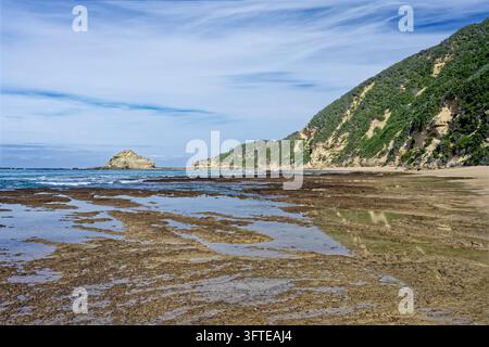 Spiaggia di Swartvlei, Sedgefield, con la marea bassa guardando verso ovest verso Gericke's Point con scogliere di arenaria e dune a destra Foto Stock