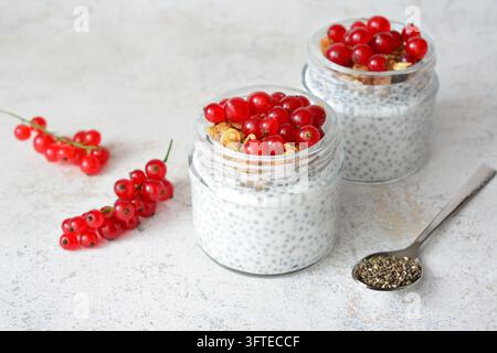 Pudding di chia con granola e ribes rossi in barattoli di vetro, spazio per il testo Foto Stock