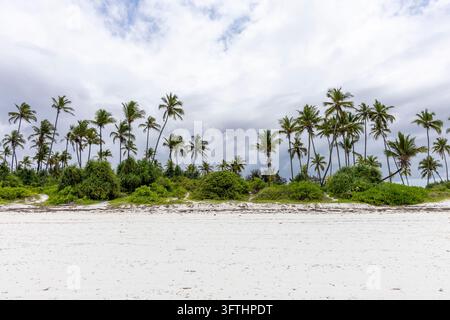 Spiaggia di sabbia bianca deserta fiancheggiata da palme da cocco e vegetazione verde sotto un drammatico cielo nuvoloso sulla costa orientale di Zanzibar, Matemwe, Tanzania Foto Stock
