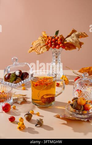 Tazza calda di tè alle erbe con bacche autunnali e noci Foto Stock