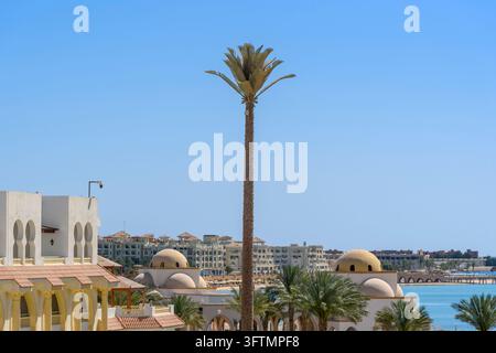 Le torri per cellulari in Egitto sono spesso mascherate da palme artificiali per mimetizzarsi nel paesaggio Foto Stock