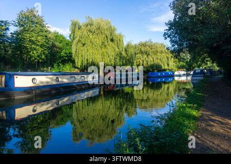 Barche strette sul Grand Union Canal, Perivale, ovest di Londra, Inghilterra Foto Stock