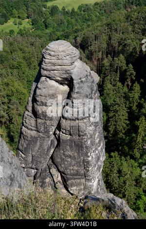 Formazione rocciosa a picco nel Parco Nazionale della Sassonia Tedesca nelle Montagne di Sabbia dell'Elbe, Sassonia, Germania. Foto Stock