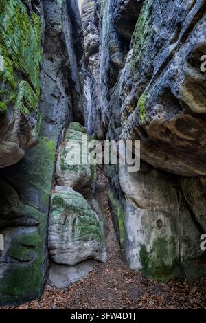 Fessura tra le rocce nel Parco Nazionale della Svizzera Sassone, Montagne di arenaria dell'Elbe, Sassonia, Germania. Foto Stock