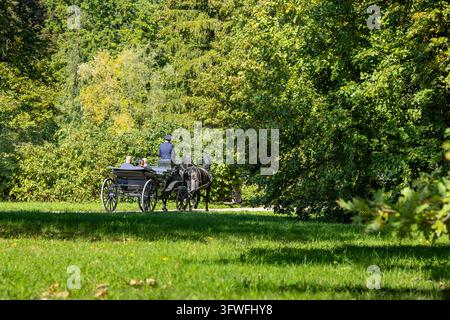 Carrozza trainata da cavalli che percorre un sentiero del parco circondato da alberi verdi fitti ed erba illuminata dal sole Foto Stock