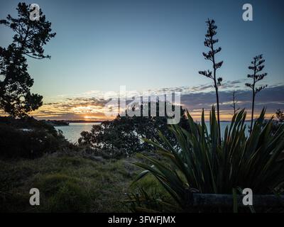 Vista del tramonto sulla costa a Beachlands, con piante di lino autoctone, alberi in controluce e un mare calmo sotto un cielo serale soffice a Beachlands, A Foto Stock