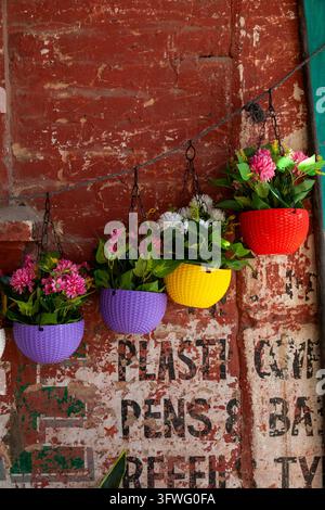 Vasi di fiori colorati appesi a un muro dipinto di rosso stagionato, Jammu e Kashmir, Srinagar, India Foto Stock