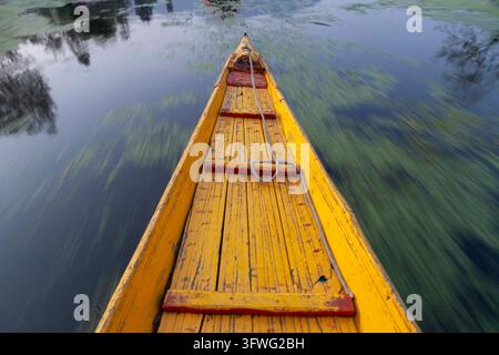 Fiocco giallo di una barca shikara che scivola veloce sul lago, Jammu e Kashmir, Srinagar, India Foto Stock