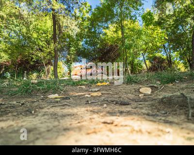 Albania, Tirana 06 09 2025: Vista a livello del suolo di terreno, piante selvatiche e pezzi di legno che conducono verso il caffè Mon Cheri nascosto tra alberi rigogliosi a Grand Pa Foto Stock